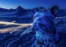 Snow sculpture of a dog in Courchevel