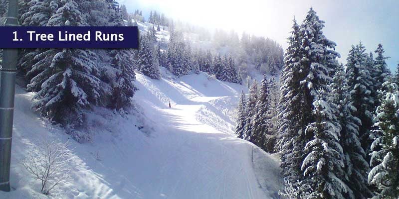 <h3>Tree Lined Runs</h3>The trees lining the pistes make Montalbert the best place to go out skiing when the weather has closed in. You can take the gentle blues that cut through the trees which make it easier to see the pistes. The slopes are covered by a network of snow cannons so runs back to your chalet are what you make of them!<br></br>Montalbert is a solid choice if you’re up for alternative activities such as snowshoeing or dog sledding, as the sheltered tree lined slopes keep the pistes open for as long as possible.