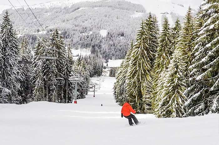 The tree lined pistes running into Les Gets