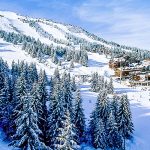 Courchevel Snow Farming