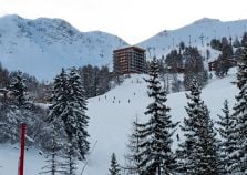 Tree lined runs in La Plagne