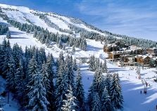 looking over the trees at Courchevel le praz