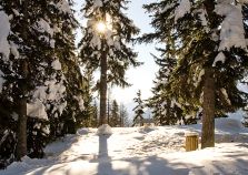 A beautiful scene of La Rosiere ski resort in the sunshine